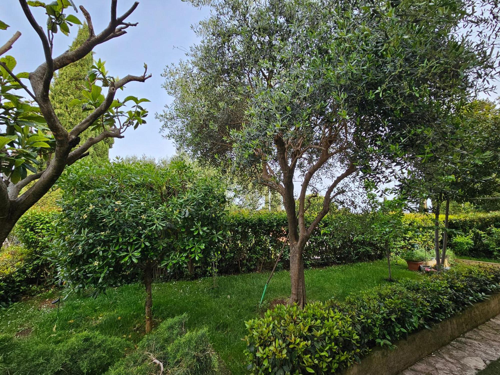 Apartment Zita - Heart Of Rovinj, For 2, Free Parking, 2min Center, 5min Walk